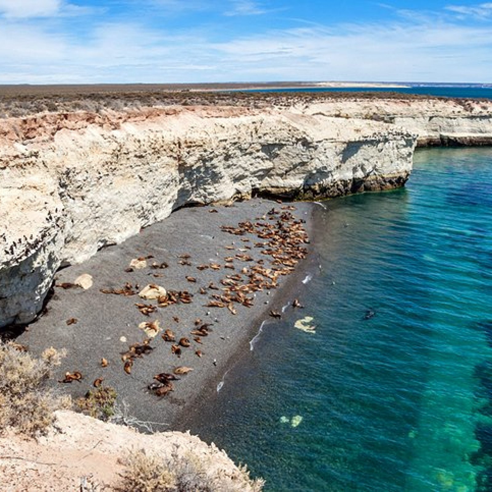 Puerto Madryn and the Valdés Peninsula