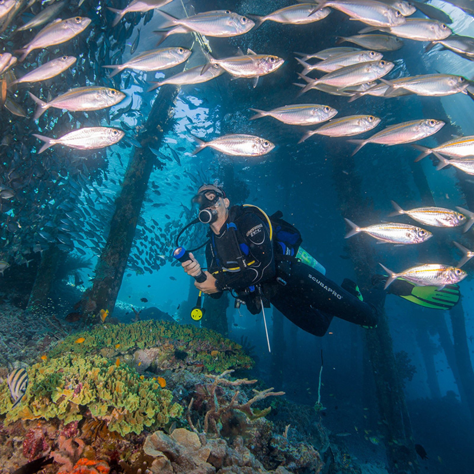 Raja Ampat – Diver’s Paradise