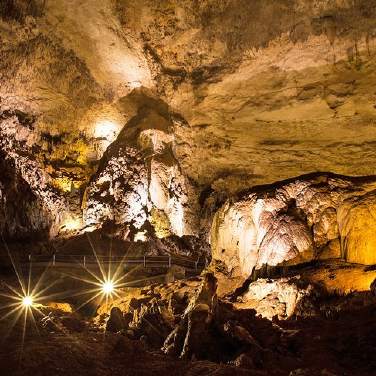 Rio Camuy Caves