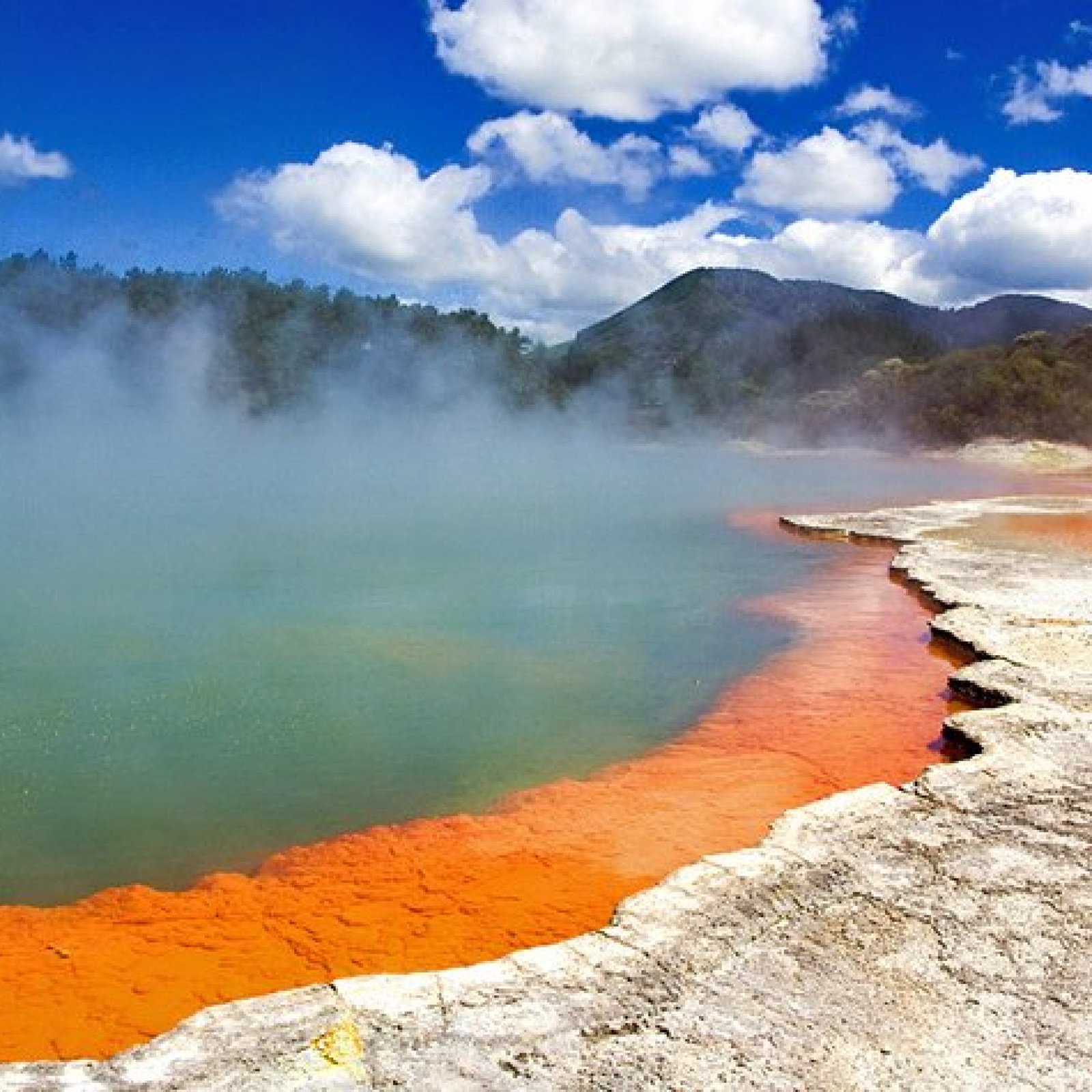 Rotorua, North Island