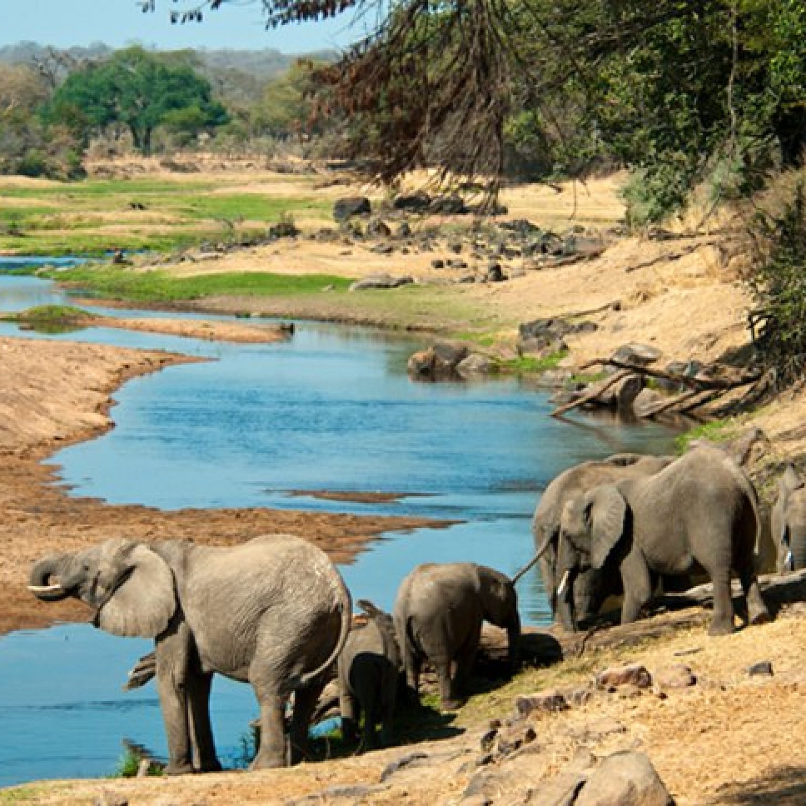 Ruaha National Park