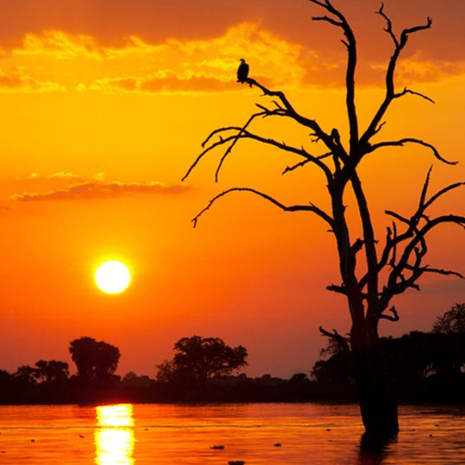 Selous Game Reserve
