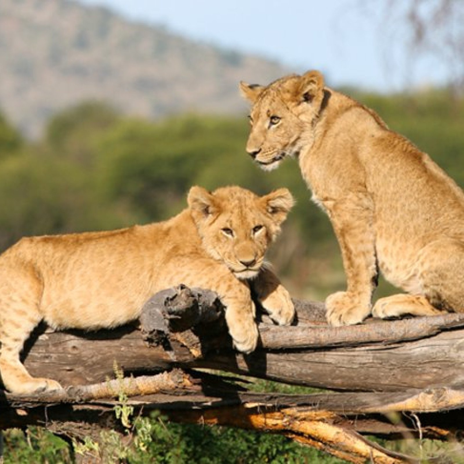 Serengeti National Park