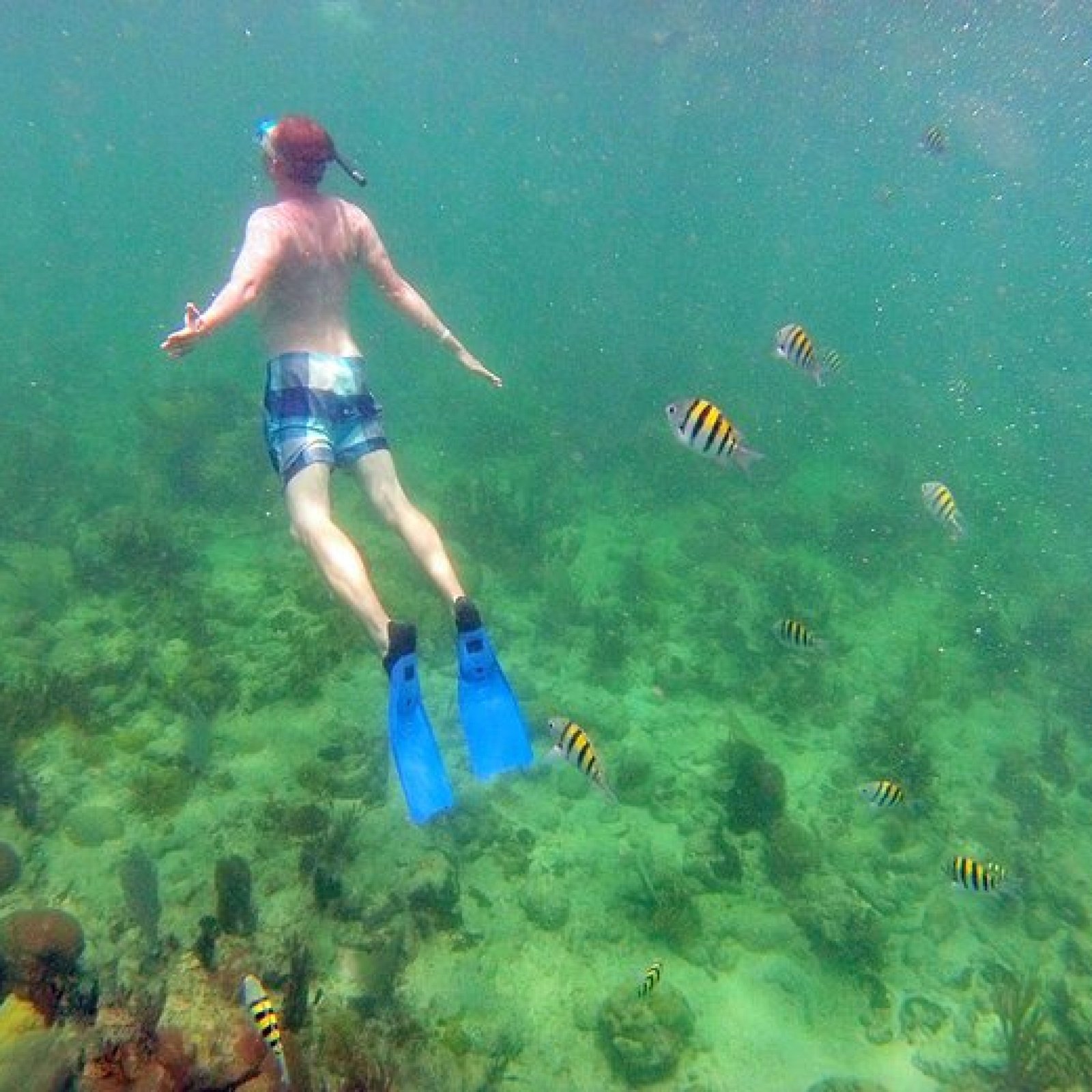 Snorkeling at Coral Beach (Playa Coral)