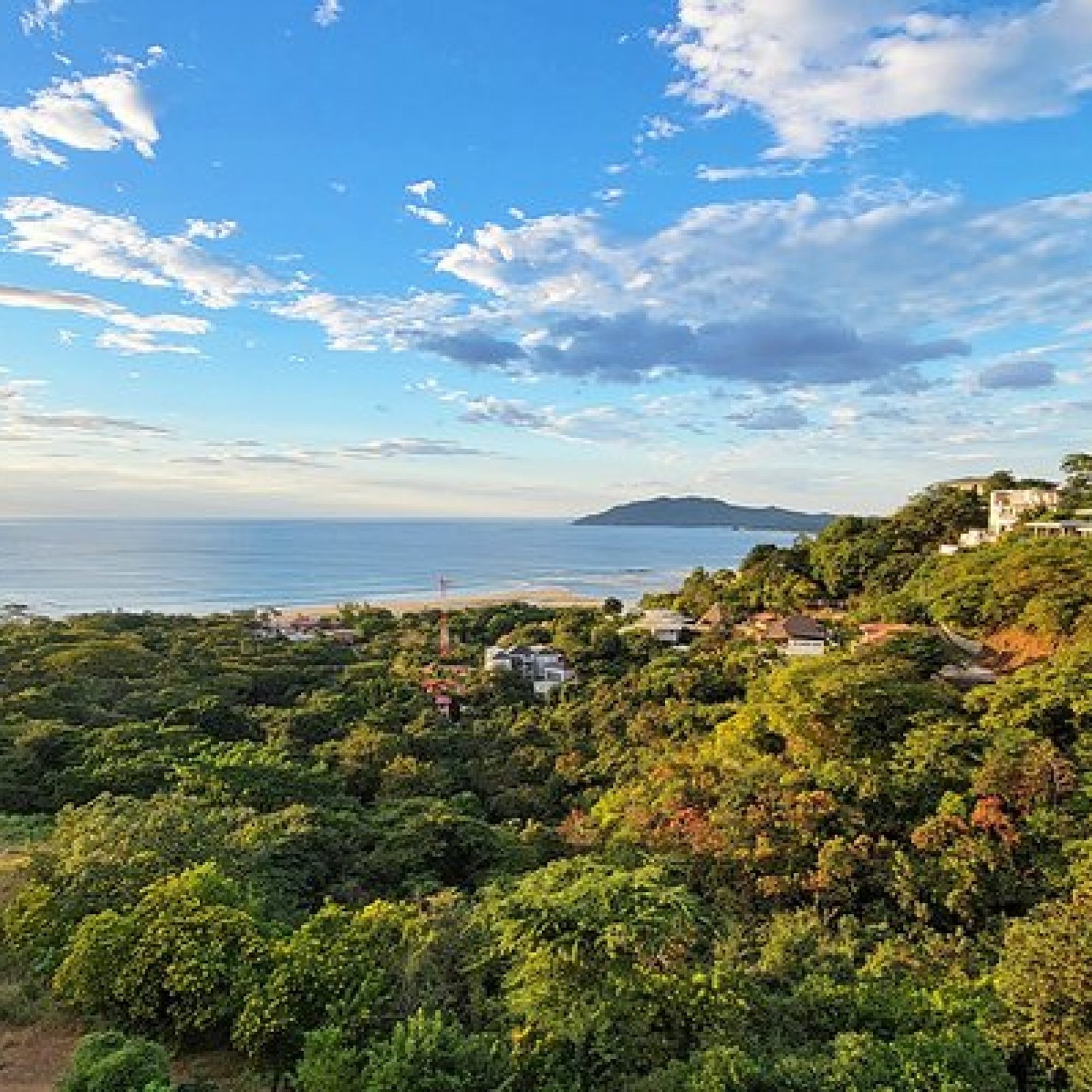 Tamarindo