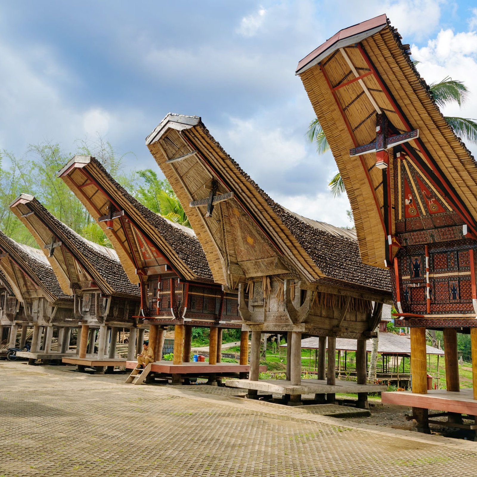 Tana Toraja (Sulawesi)