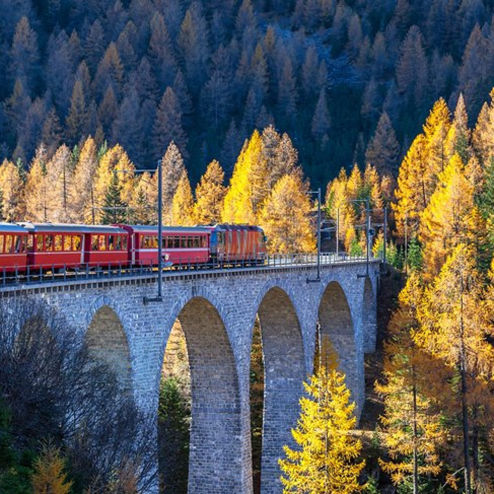The Albula_Bernina Railway Line