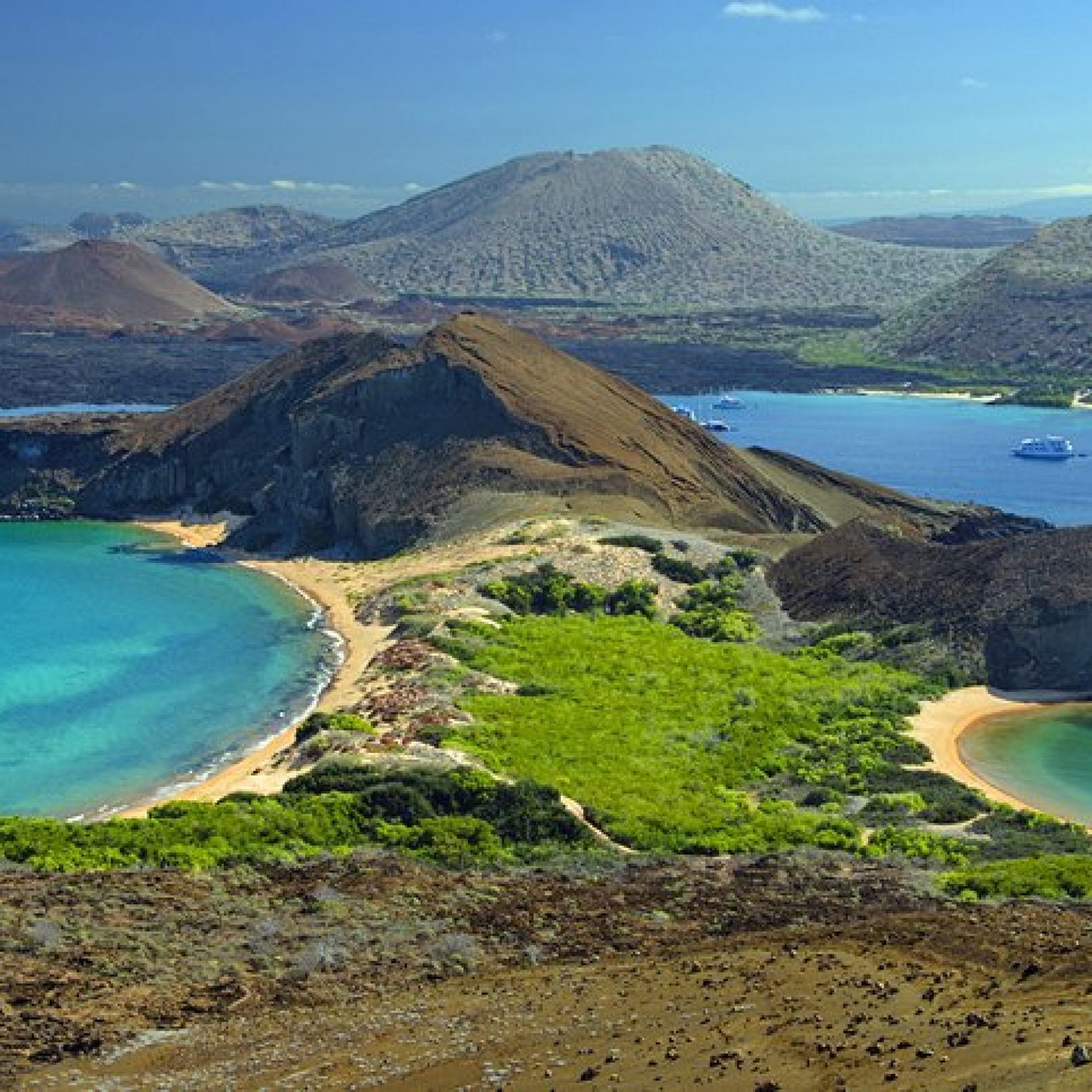 The Galápagos Islands