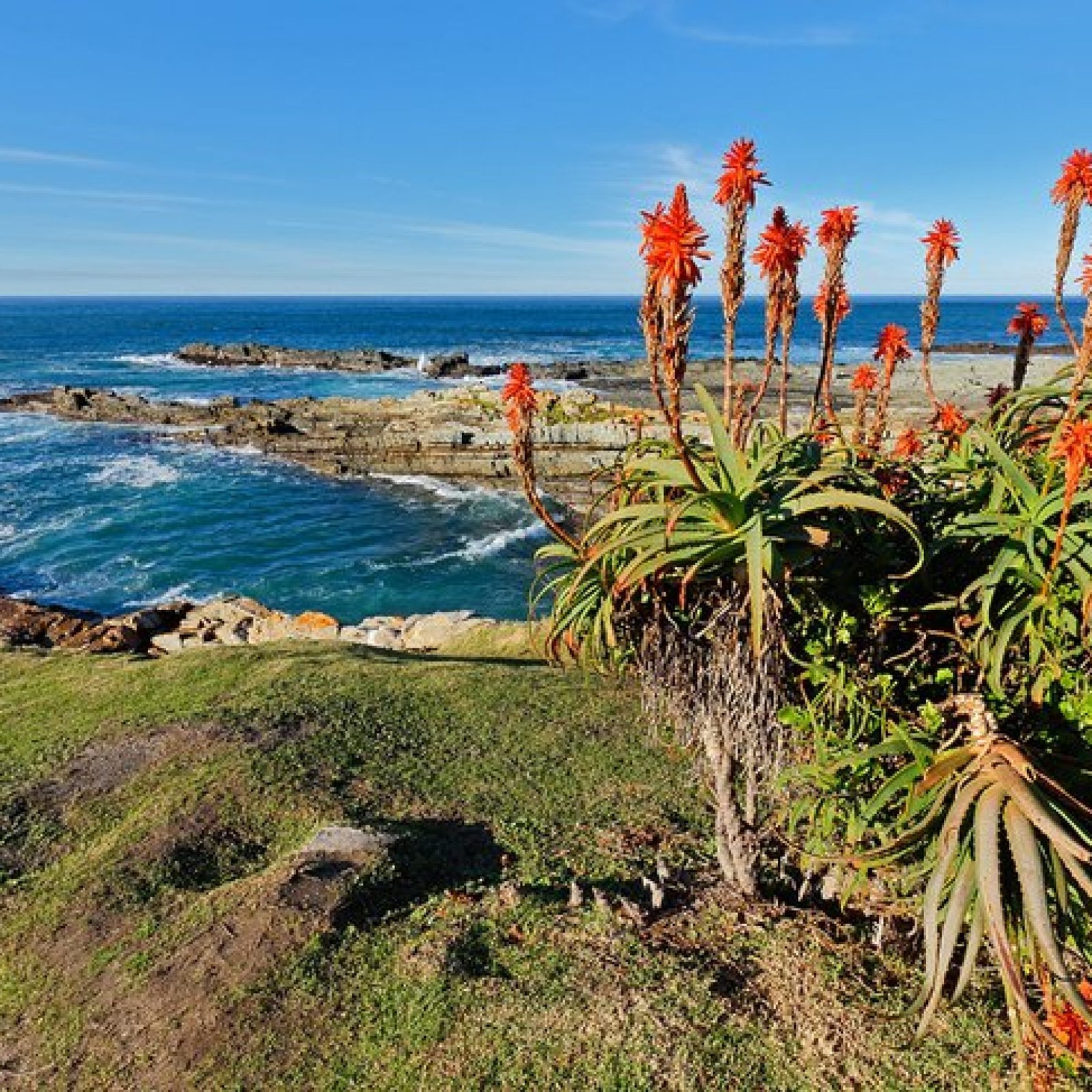 The Garden Route