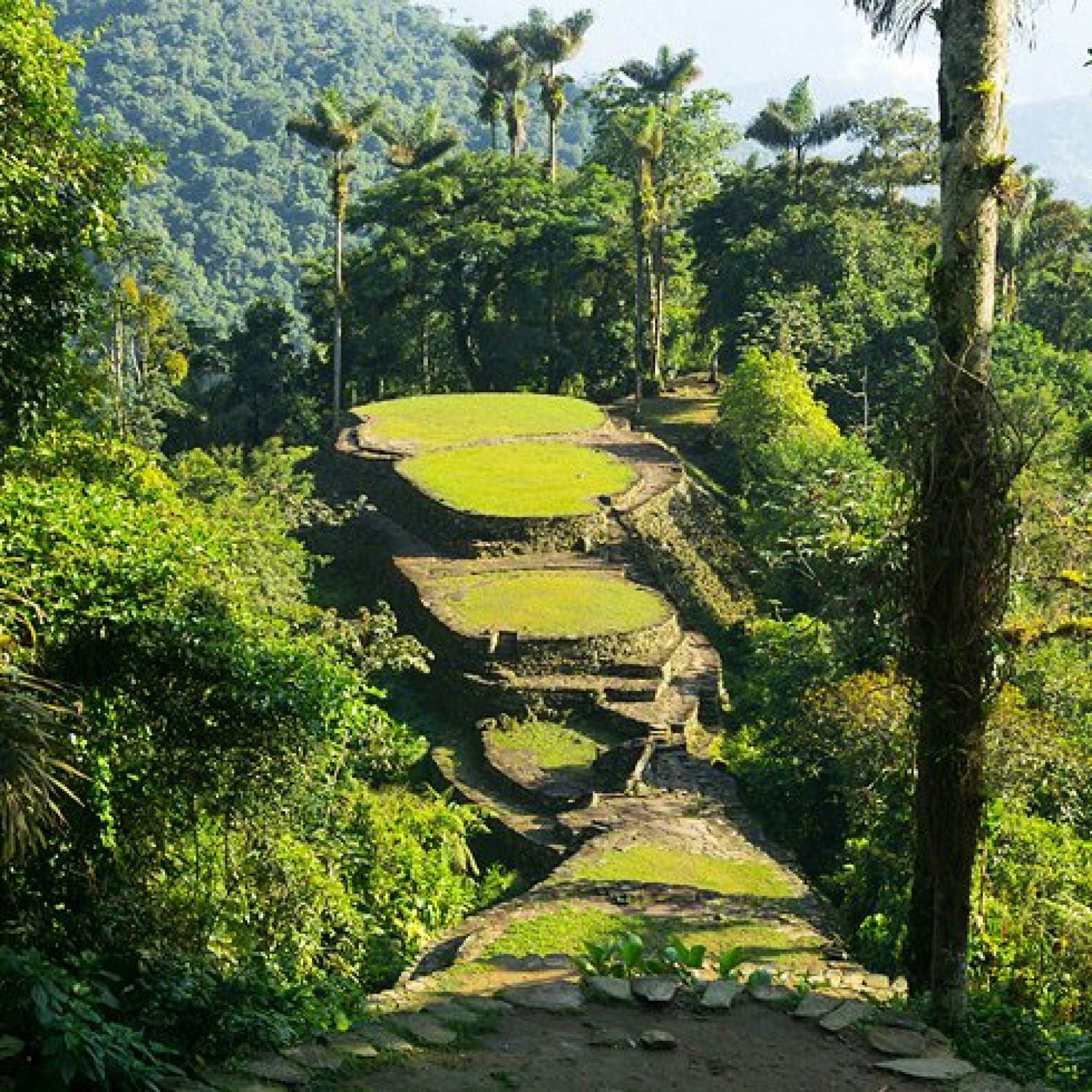 The Lost City (Ciudad Perdida)