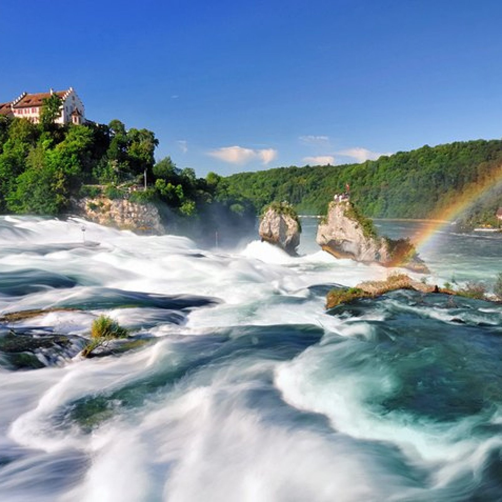 The Rhine Falls
