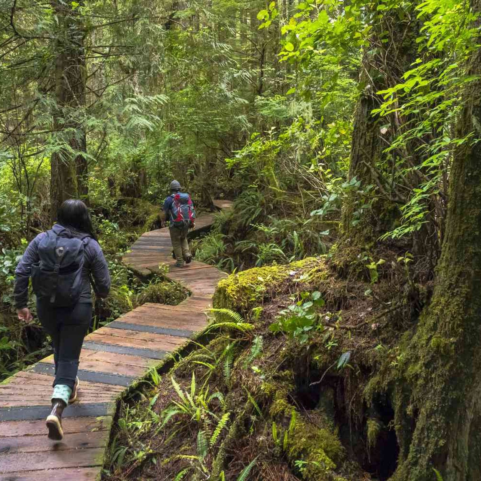 Tofino, British Columbia