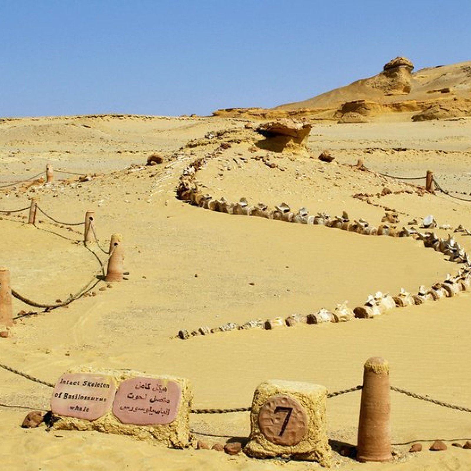 Wadi Al-Hitan