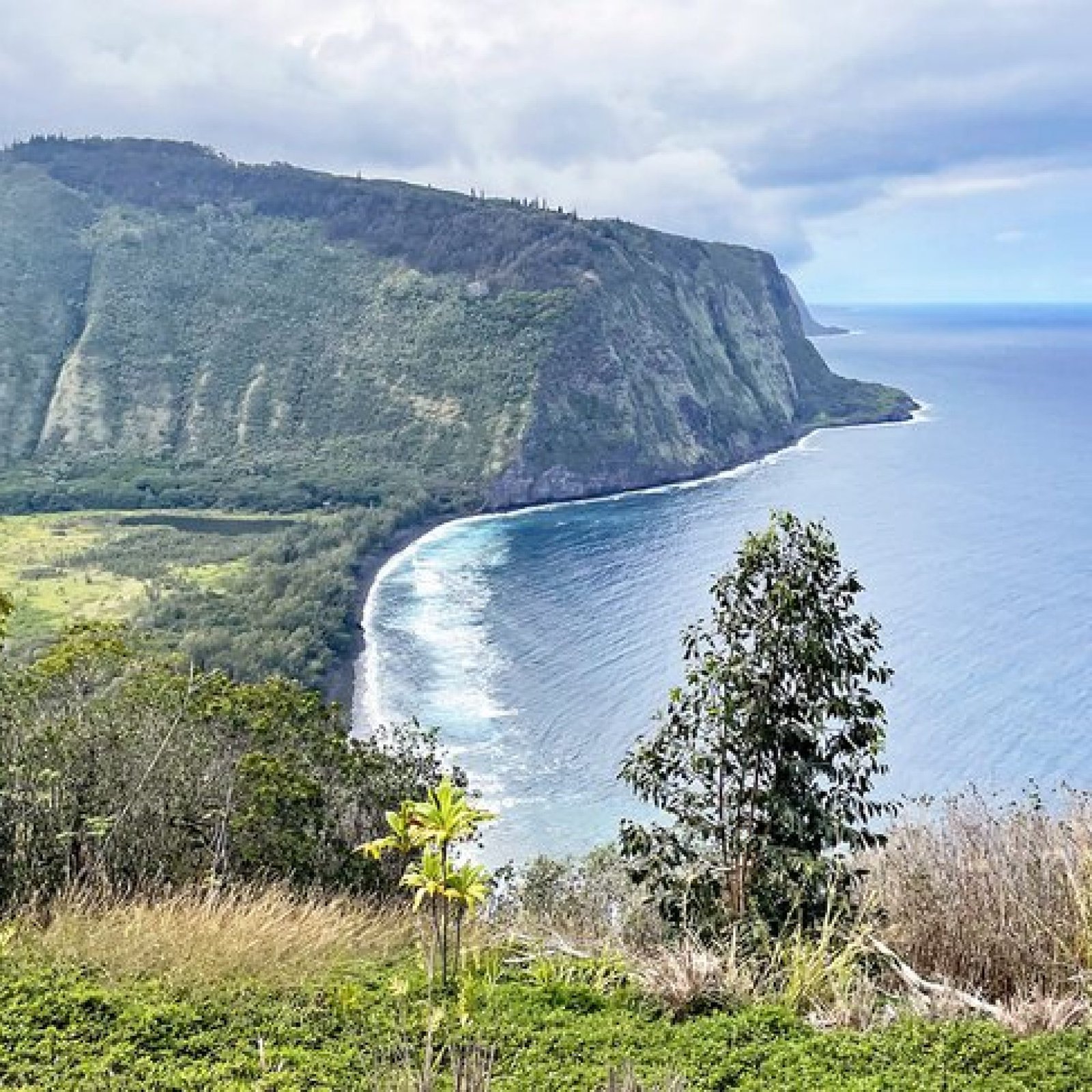Waipio Valley Lookout, Hawaii