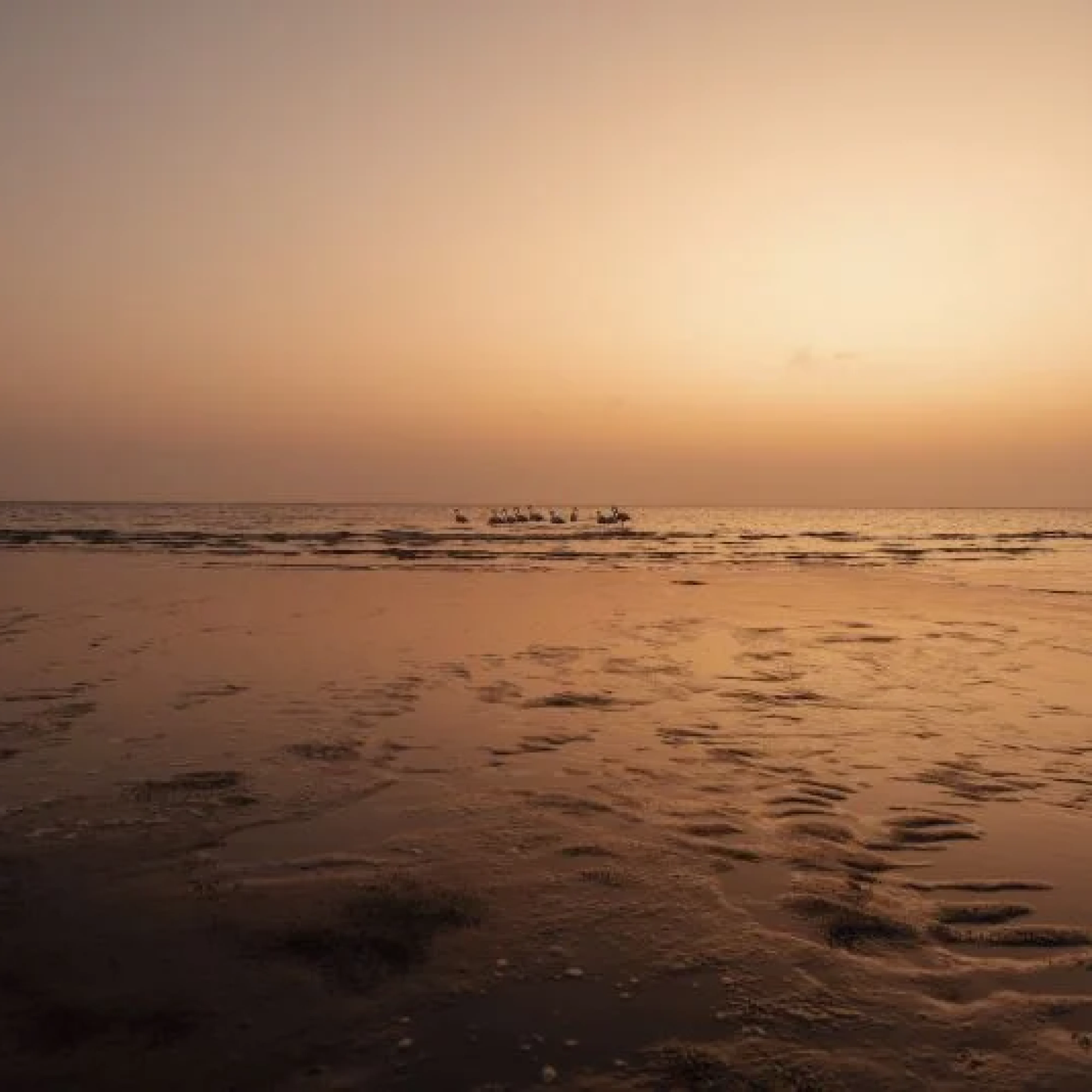 Walvis Bay