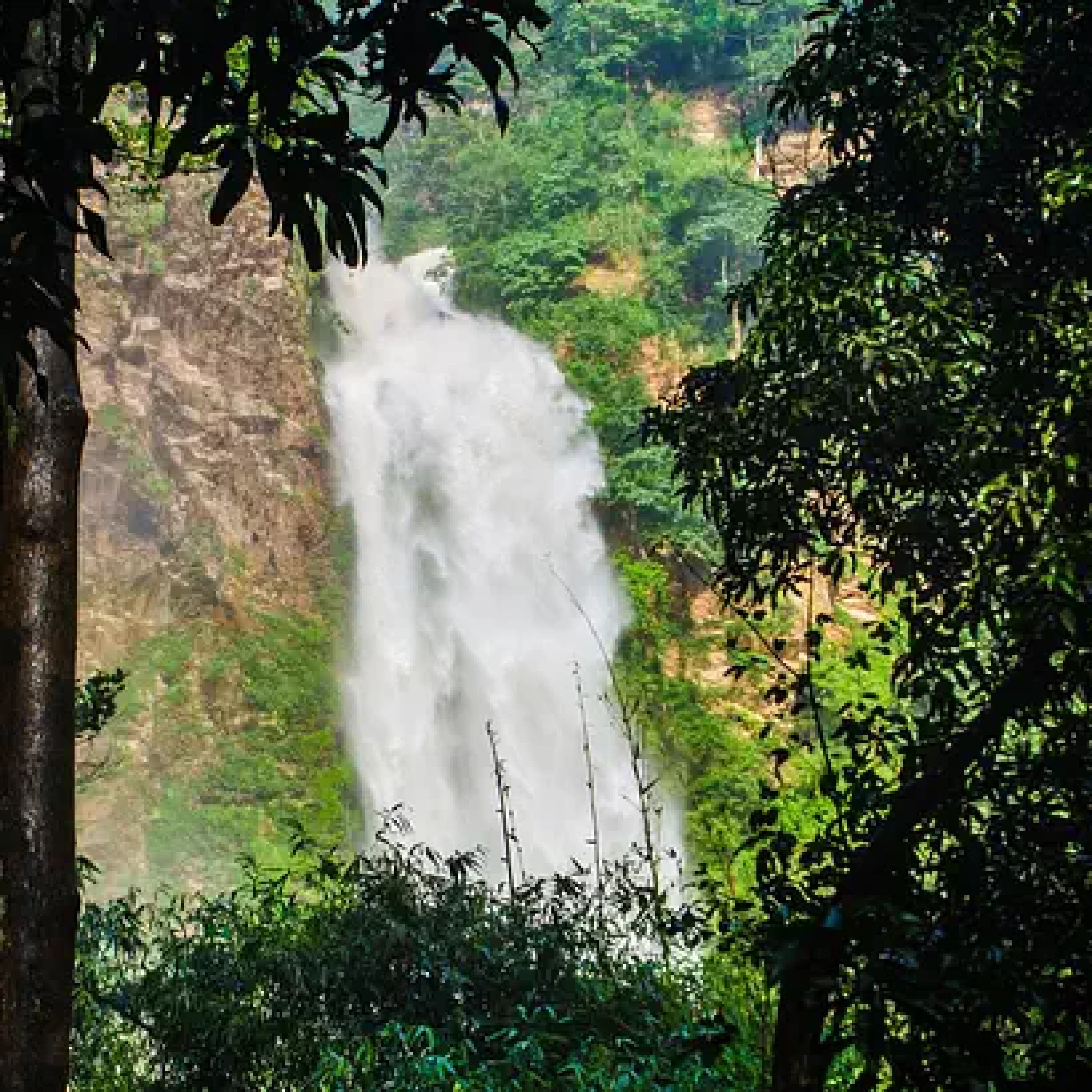 Wli Waterfalls