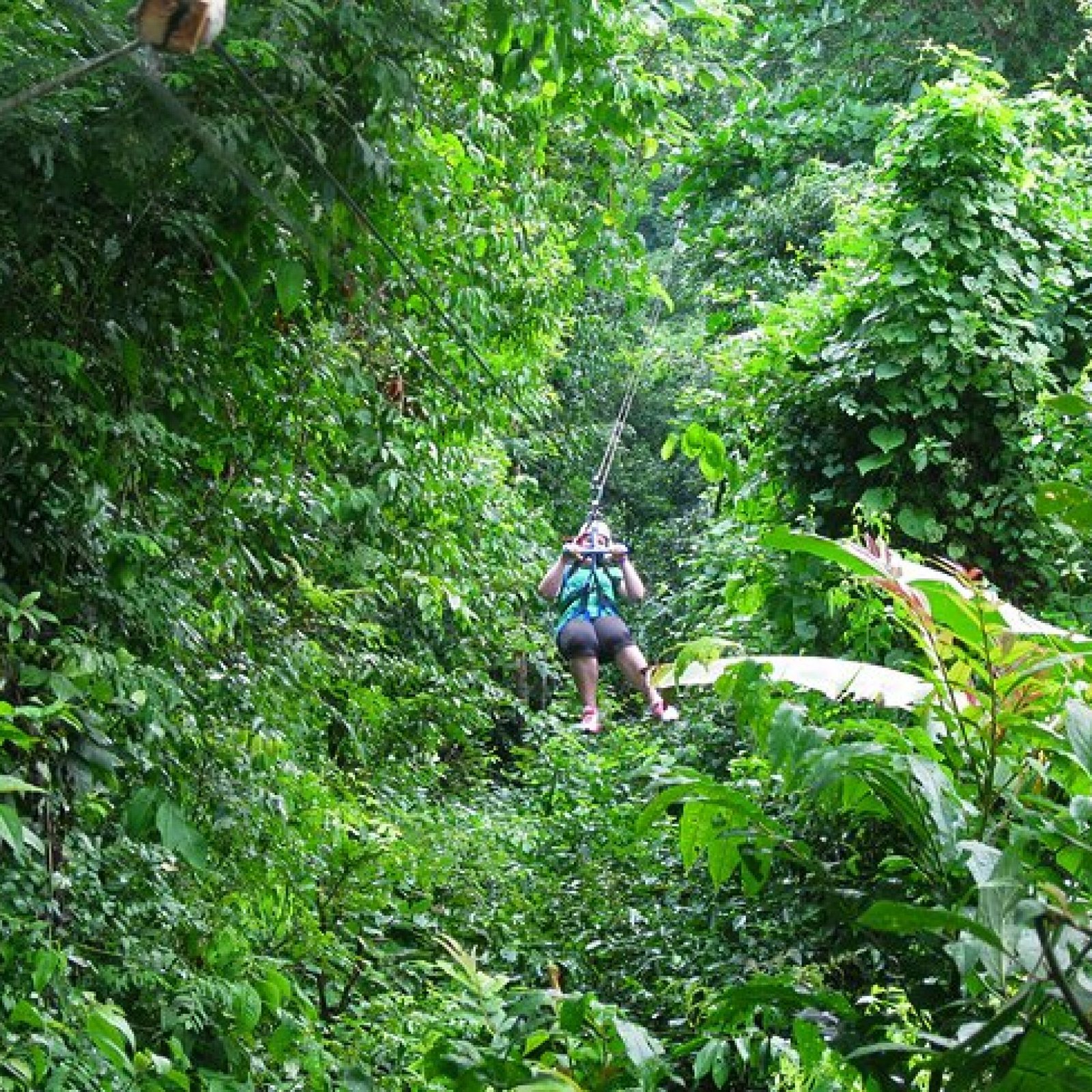 Zipline Adventure Tours