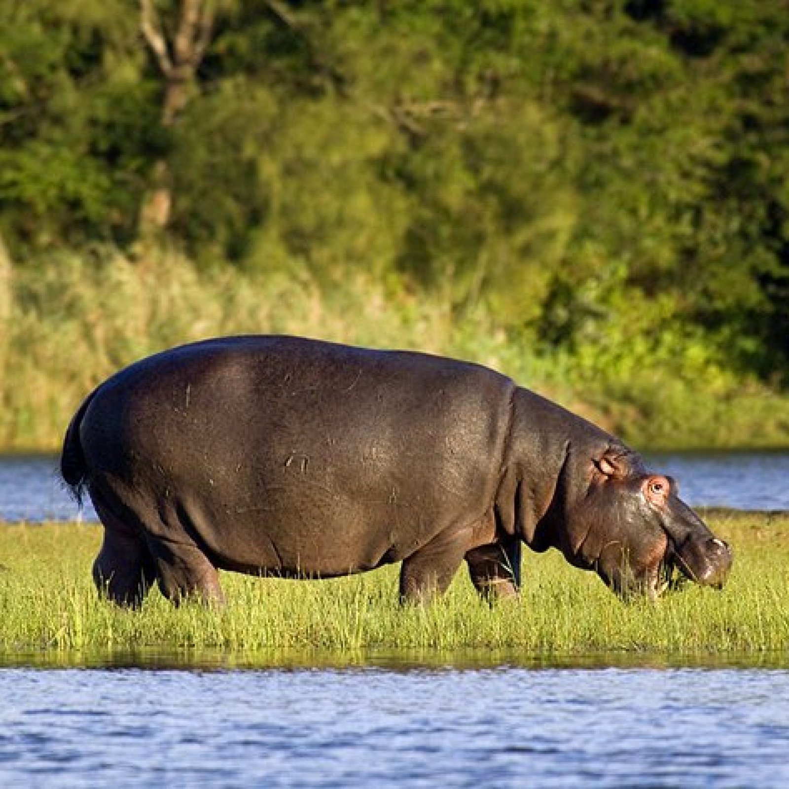 iSimangaliso Wetland Park, KwaZulu-Natal